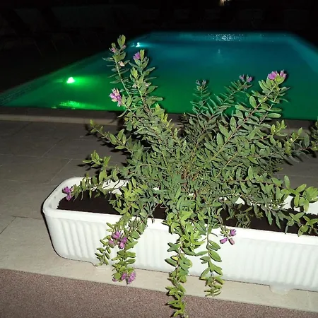 Apartment Grosse In Mit Garten, Gemeinsamem Pool Und Grill